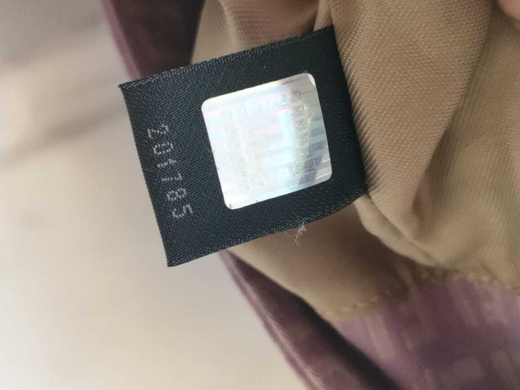 Fendi Zucca Chef Bag