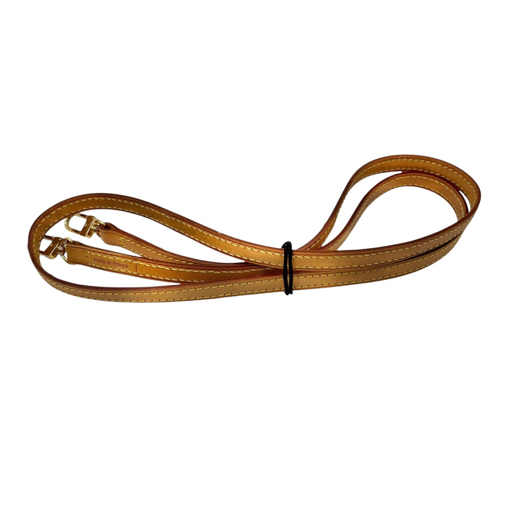 Louis Vuitton Roxbury 2 Way Shoulder Bag